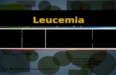 leucemia gracnulocitica cronica
