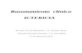 (2014-03-27) Razonamiento clínico ictericia (doc)