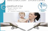 Obstrucción intestinal pediatrica