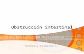 Anatoooo   obstrucción intestinal