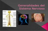 Generalidades del sistema nervioso I