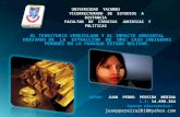 2.presentacion territorio venezolano y el impacto ambiental por extraccion de oro. juan p. pereira medina