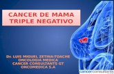 triple negative breast cancer