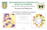 Vitaminas hidrosolubles e hipovitaminosis