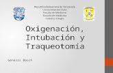 Oxigenación, intubación y traqueotomía.