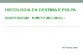 histologia dentina (pdf)