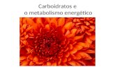 1S carboidratos e metabolismo energético abril_2015