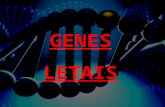 Genes letais 2015
