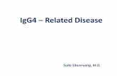 IgG4-related disease