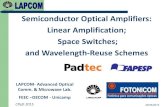 Semiconductor Optical Amplifiers: Linear Amplification,  Space Switches, and Wavelength-Reuse Schemes
