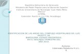 IDENTIFICACION DE LAS AREAS DEL COMPLEJO HOSPITALARIO DR. LUIS RAZETTI, DE BARCELONA. ESTADO ANZOATEGUI