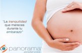 Examen Prenatal no Invasivo PANORAMA