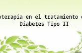 Fitoterapia en el Tratamiento de la Diabetes Tipo II