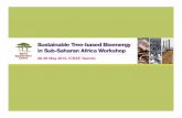 Workshop overview-tree-based-bioenergy-icraf-may2015