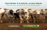 Saiba como vacinar seu gado de forma correta contra febre Aftosa