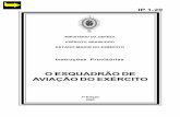INSTRUÇÕES PROVISÓRIAS O ESQUADRÃO DE AVIAÇÃO DO EXÉRCITO IP 1-20