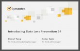Introducing Data Loss Prevention 14