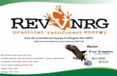Revv nrg plano_de_marketing_foreagles