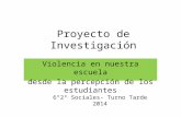 Proyecto de investigación sobre Violencia