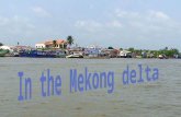 In The Mekong Delta