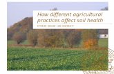 How different agricultural practices affect soil health - Katarina Hedlund