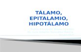 Talamo (2)