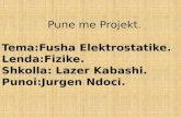 Fusha Elektrostatike.