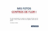 018 MIS FOTOS - CENTROS DE FLOR I