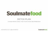 Soulmatefood detox plan
