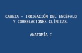 Anato i   encefalo (irrigacion y correlaciones) - lmcr