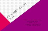 Microsoft execel 2010