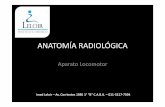Anatomia radiologica locomotor
