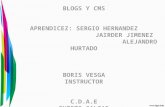 Blogs y cms (herramientas web 2.0)