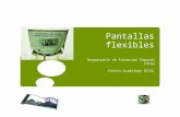 Webinar Pantallas flexibles - Edgardo Lurig - 19-10-10
