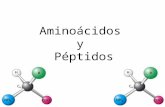 Aminoácidos y peptidos