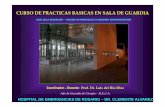 HIDRATACION PARENTERAL. CONCEPTOS BASICOS. CLASE II. Prof. Dr. Luis del Rio Diez