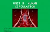 Unit 5: Circulatory system