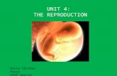 Unit 4 6th: The reproduction