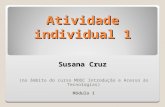 Atividade individual - Módulo 1 - Susana Cruz