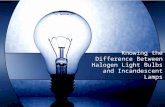 Knowing the difference between halogen light bulbs and incandescent lamps