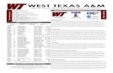 WT Softball Game Notes (5-6-15)