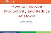 How to improve productivity and reduce aflatoxin