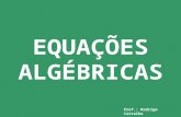 Equações algébricas   2011