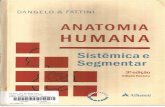 Anatomia humana   sistêmica e segmentar - 3. ed - dangelo & fattini - primeira parte