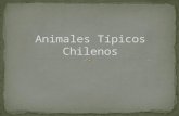 Animales típicos chilenos