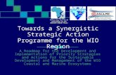 Towards a Synergistic Strategic Action Programme for the WIO Region (IWC5 Presentation)