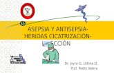 Asepsia y antisepsia, HERIDAS, CICATRIZACIÓN. INFLAMACIÓN 2015