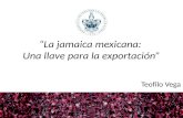 La jamaica mexicana: Una llave para la exportación