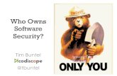 Who Owns Software Security?