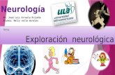 Exploración  neurológica
